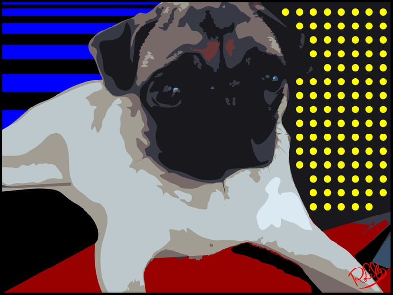 PUG POP