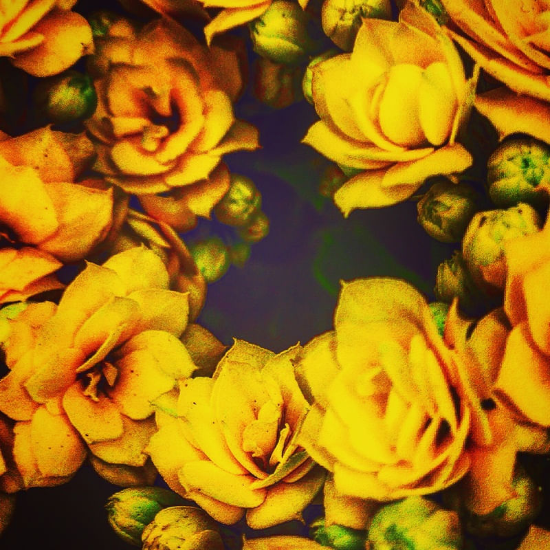 FLOR FLOR