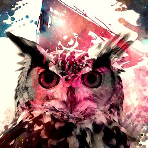 OWL AND PINK