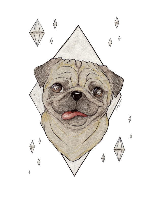 PUG IN THE SKY WITH DIAMONDS