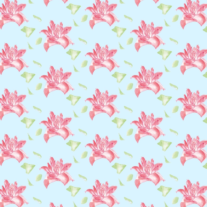 IMPERADOR FLOWERS
