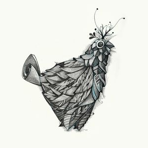 BIRD GRAY