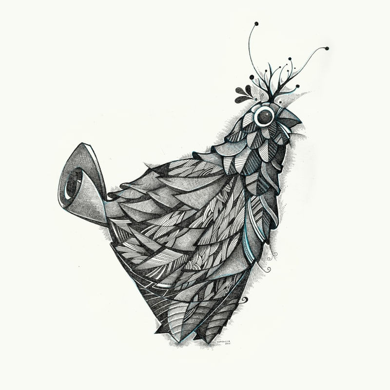 BIRD GRAY