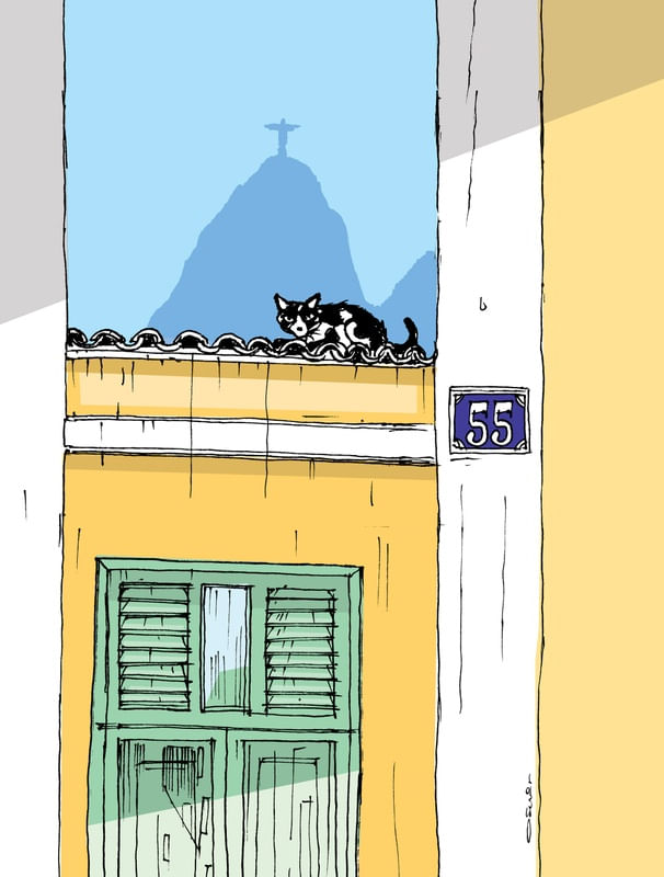 GATO NO TELHADO