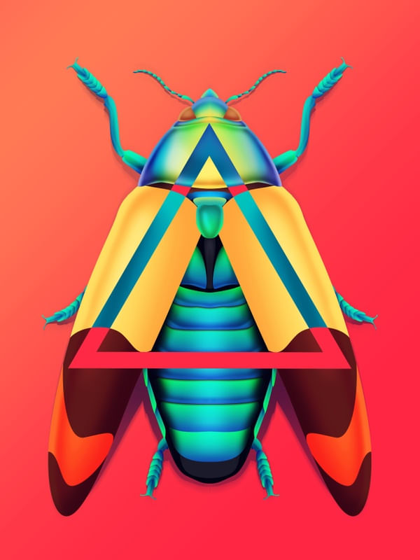 METAMORFORMA 01
