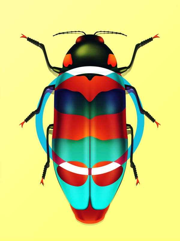 METAMORFORMA 03