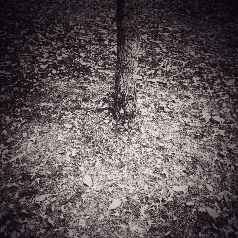 NATUREZA PB