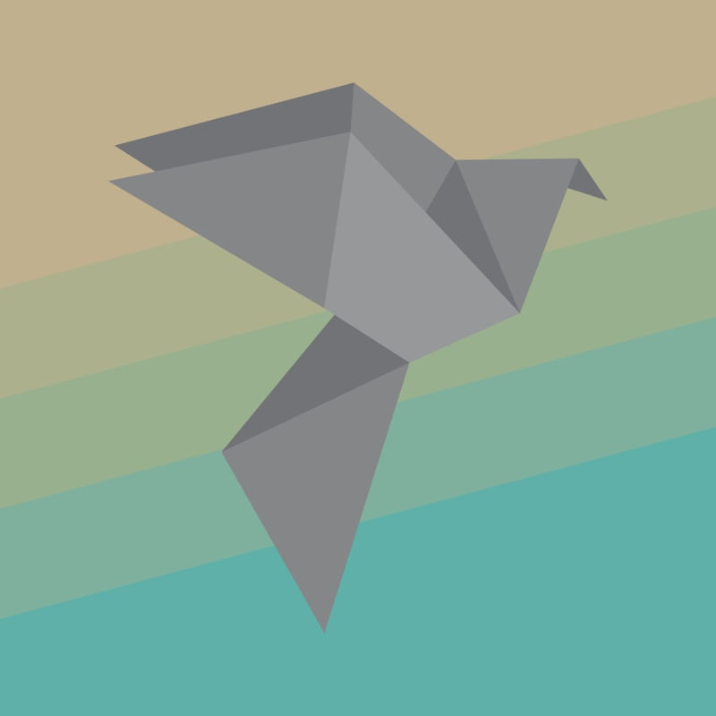SHALLOW BIRD
