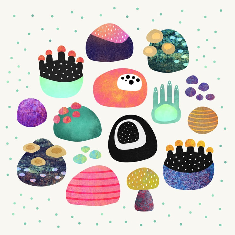 OCEAN TREASURES