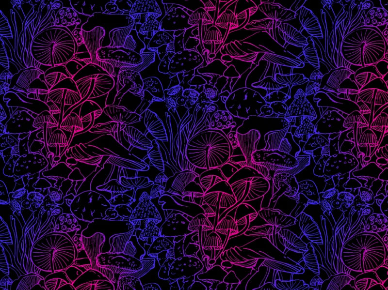 PSICODELIC MUSHROOM