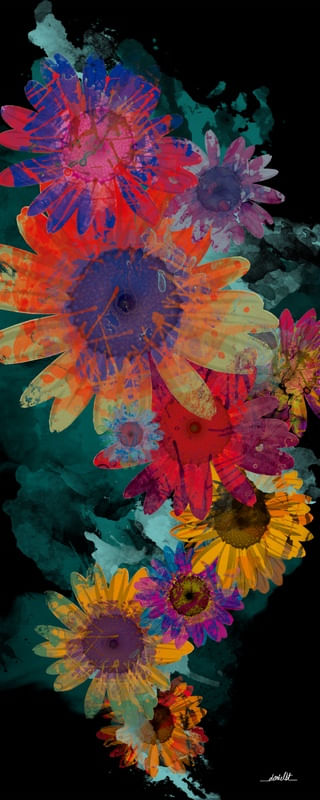 BORN FLOWER