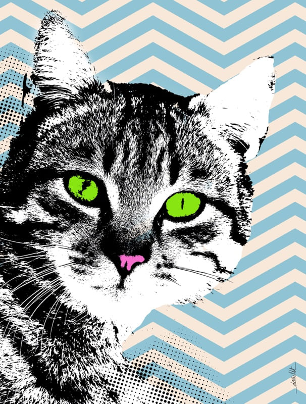 VINTAGE CAT 01