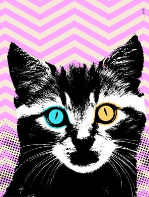 VINTAGE CAT 02