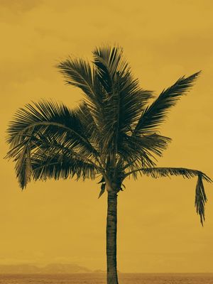 COLOR VIBES YELLOW