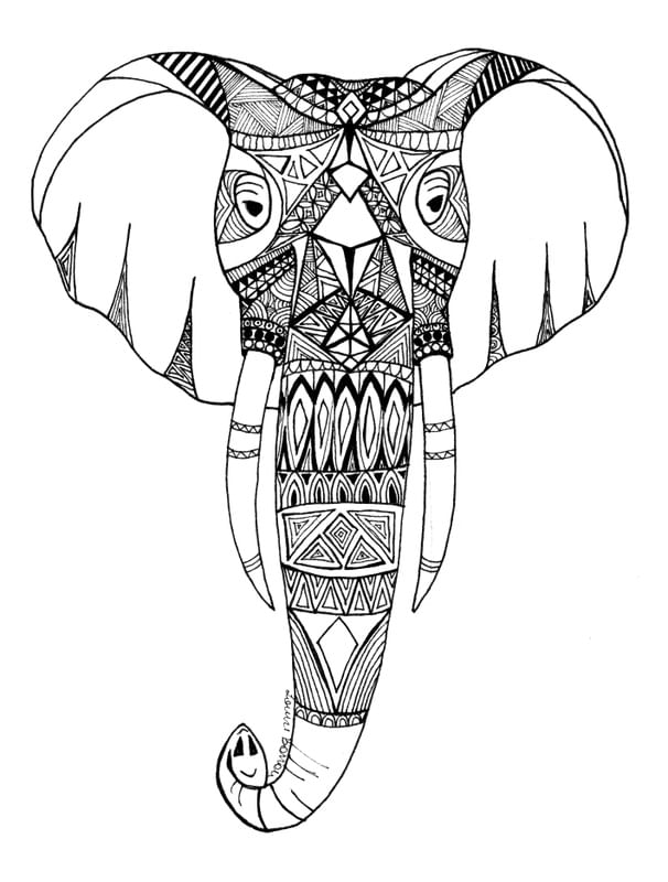 ELEFANTE AFRICANO