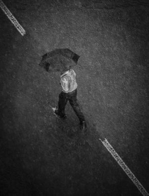 WALKING IN THE RAIN II