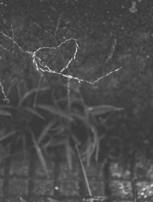 NATURE HEART