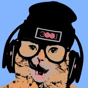 COOL POP CAT