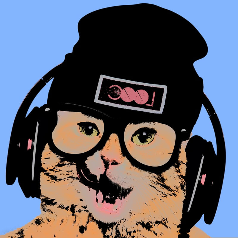 COOL POP CAT