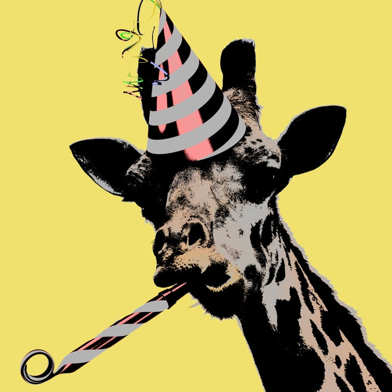 FUNNY GIRAFFE