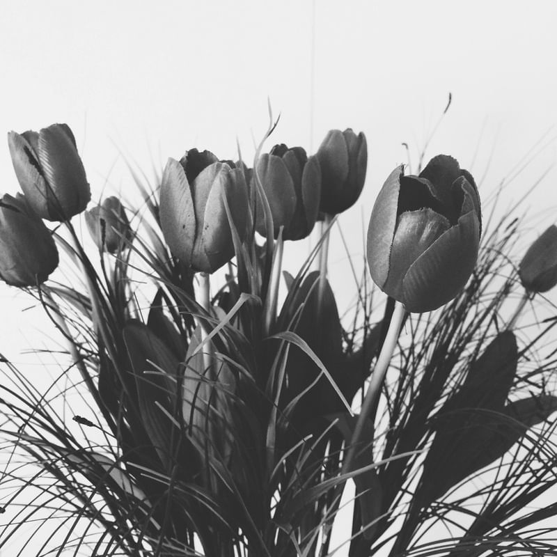 INTERLUDE
