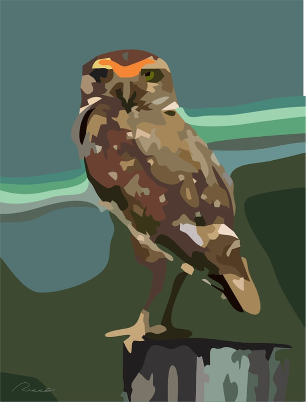 BURAQUEIRA