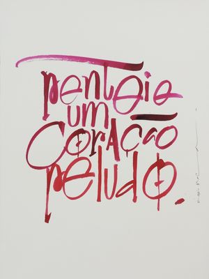 CORAÇÃO PELUDO