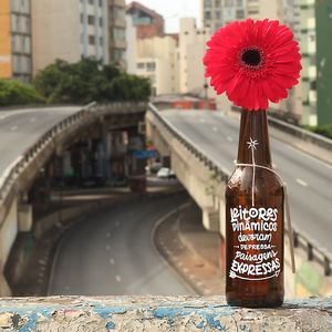 LEITORES DINAMICOS
