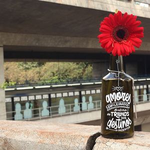 AMORES ENFILEIRADOS