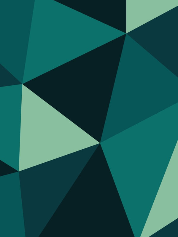 VIBRANCE 08