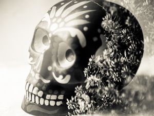 VIDA E MORTE 6