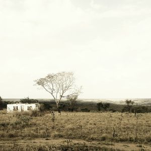 MEMÓRIAS DE UM BRASIL PERDIDO I