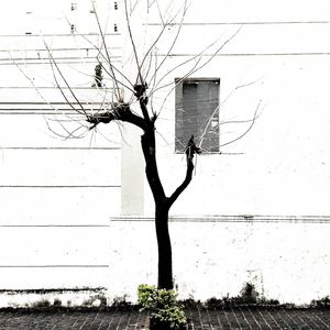 PAISAGEM URBANA