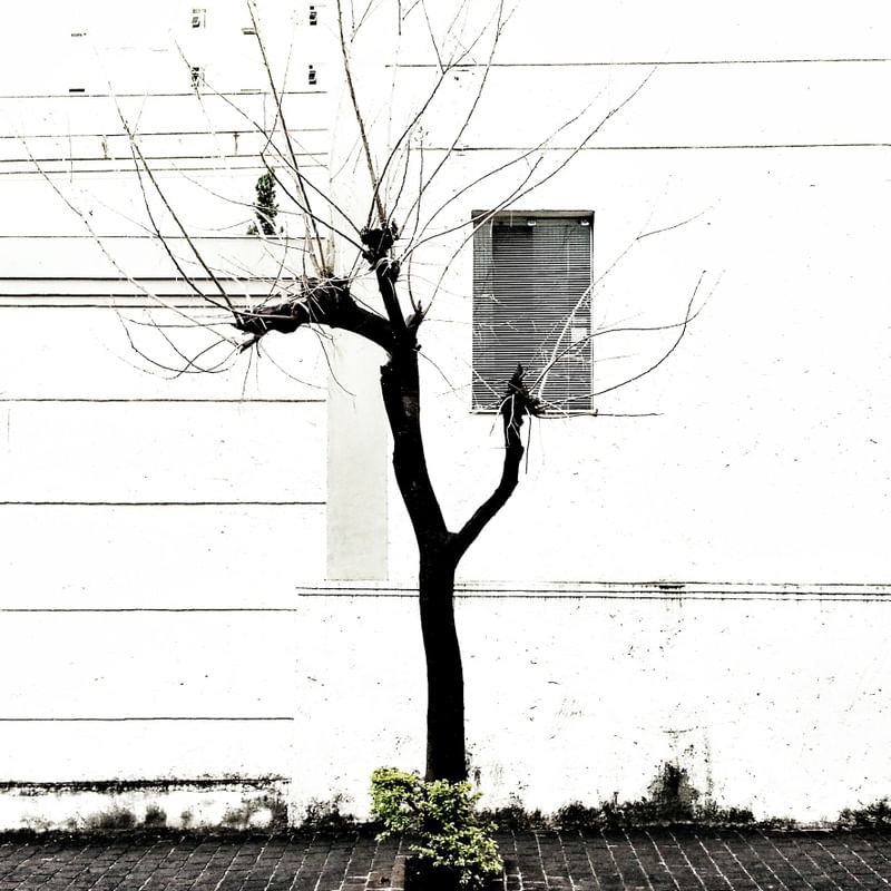 PAISAGEM URBANA