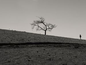 A FOTÓGRAFA
