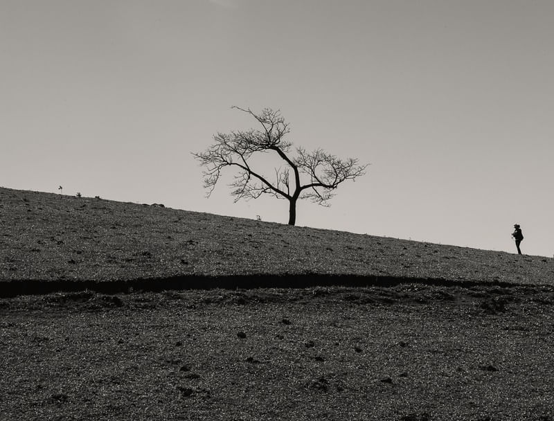 A FOTÓGRAFA