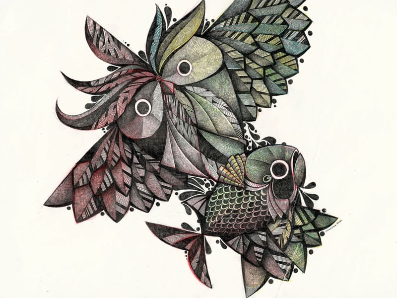 OWL AND FISH