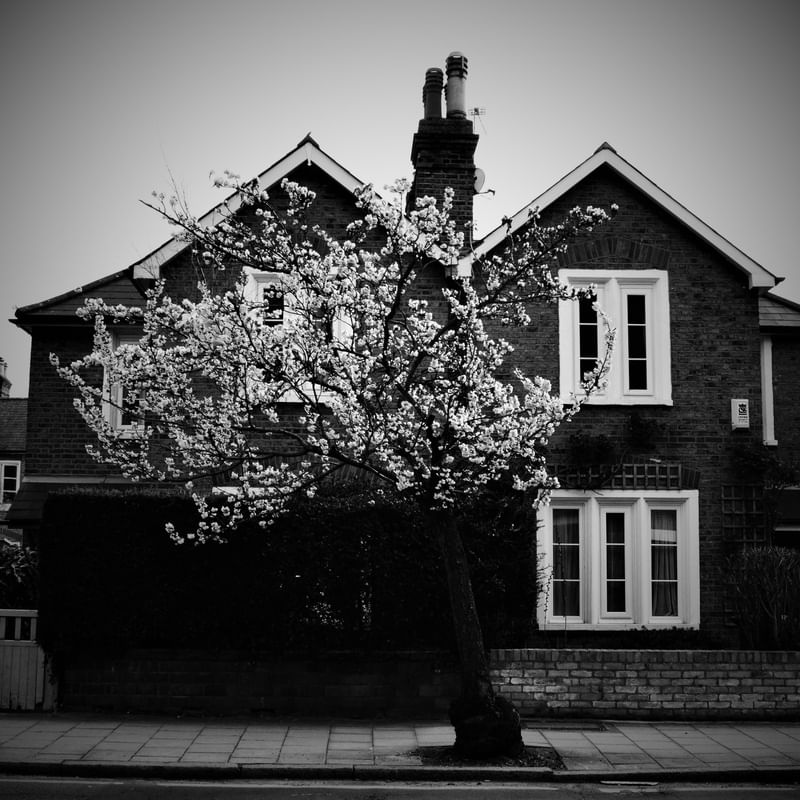 CASA-