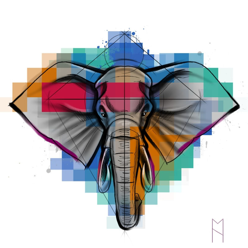 ELEFANTE DIGITAL