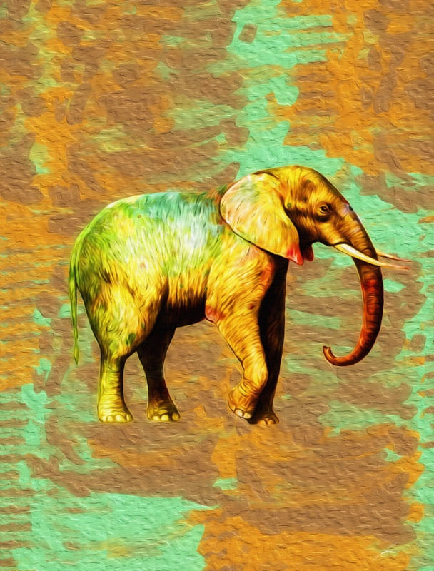 ELEPHANTASIA