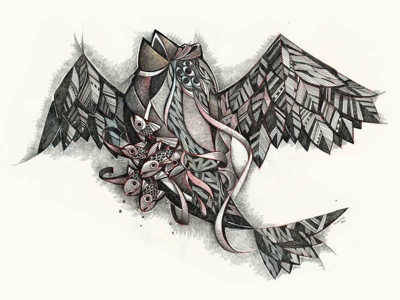 BIRD AND FISHS