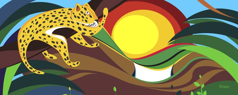AMAZÔNIA COLORS