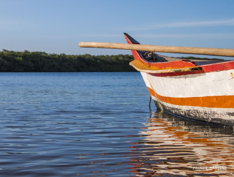 PESCADOR DE ILUSÕES