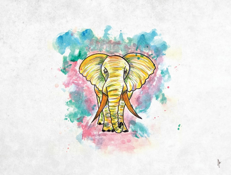 YELLOWFANT RGB