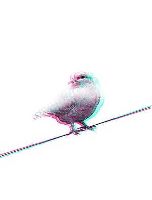 BIRD ONE