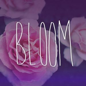 BLOOM FLORAL