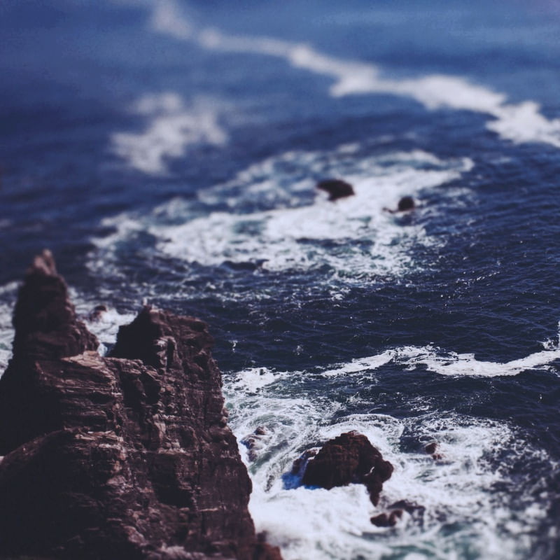 BLUE OCEAN