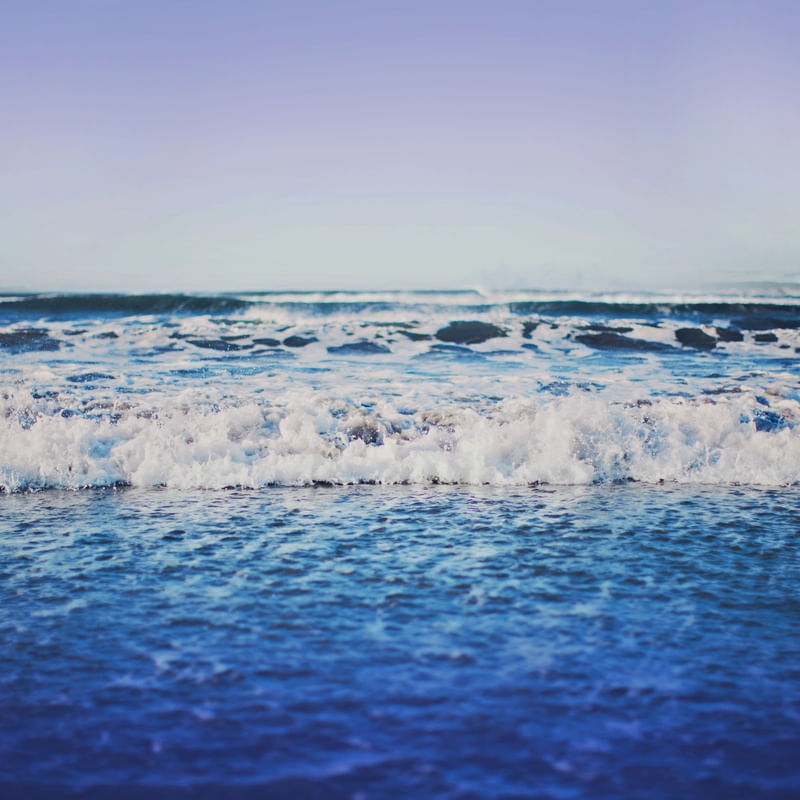 INDIGO WAVES