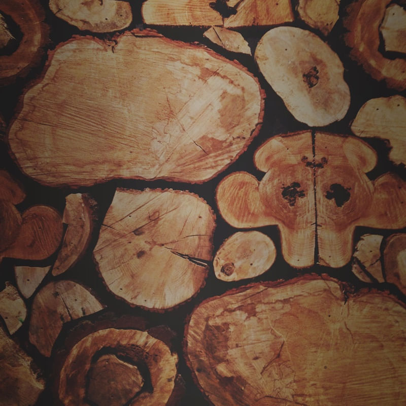 WOODSMAN