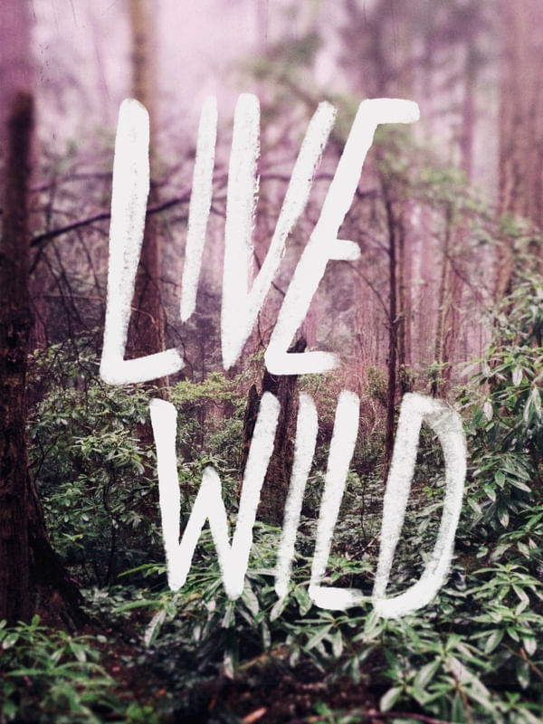 LIVE WILD